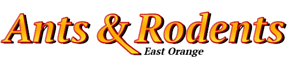 East Orange Ant Exterminator & Rodent Control Company Logo